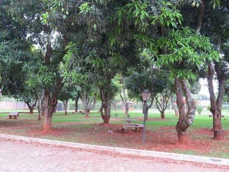 O jardim dos mangueirais, amplo e acolhedor.