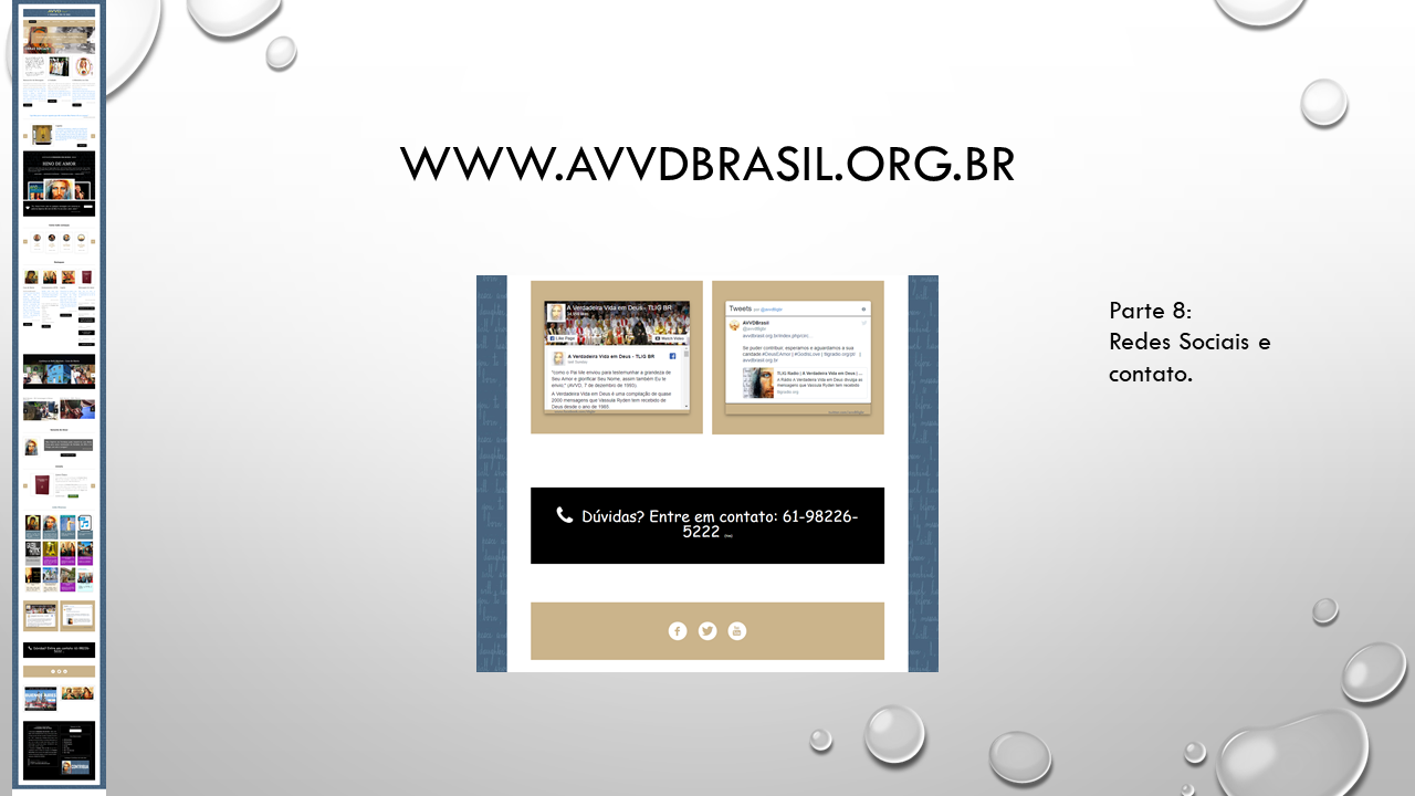 Site AVVDBrasil - Geciel -  Slide 16.