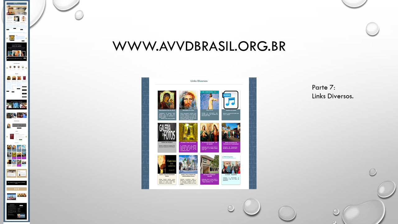 Site AVVDBrasil - Geciel - Slide 15.